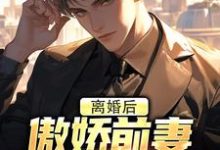 离婚后,傲娇前妻被疯狂打脸小说,离婚后,傲娇前妻被疯狂打脸最新章节-疯狂文学