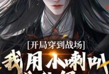 小说《开局穿到战场,我用小喇叭扰乱军心》在线阅读-疯狂文学