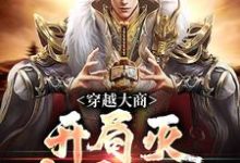主人公殷寿小说穿越大商，开局灭十万叛军在线阅读-疯狂文学