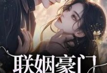 无删减版《联姻豪门继承人后，我逃婚了！》全章节阅读-疯狂文学