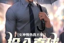女神慢热我不要，投入直球女怀抱免费阅读，女神慢热我不要，投入直球女怀抱丁歌王诗雪-疯狂文学