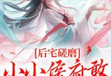 姜婴沈昭容小说叫什么(后宅磋磨,小小侯府敢欺负本郡主?免费阅读)-疯狂文学