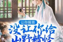 主角叫叶黎云麓的小说在哪阅读-疯狂文学