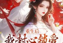 重生后,我封心锁爱,皇帝请离开全章节免费在线阅读,萧煜苏婉宁完结版-疯狂文学