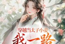 穿越当太子小妾，我一路扶摇直上最新章节，穿越当太子小妾，我一路扶摇直上在线阅读-疯狂文学