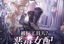 无删减版《被标工具人？恶毒女配甩男主求自由》在线阅读-疯狂文学