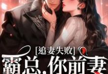 已完结小说《婚内越轨!我高嫁京圈前夫急疯了》在线阅读-疯狂文学