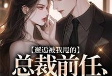 主人公叫陆挽江远舟的小说邂逅被我甩的总裁前任，他又爱了！在线阅读-疯狂文学