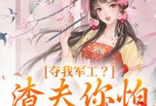 《夺我军工?渣夫你怕是没命享》全集免费在线阅读(凌朝歌南宫阎)-疯狂文学