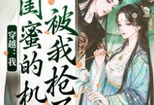 《穿越：我闺蜜的机缘被我抢了》全集免费在线阅读（梅久傅砚辞）-疯狂文学