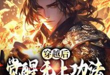 穿越后,觉醒无上功法的我要复仇了宋终,穿越后,觉醒无上功法的我要复仇了在线阅读-疯狂文学