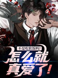 不是吃软饭吗？怎么就真爱了！林阳沈怡然，不是吃软饭吗？怎么就真爱了！小说免费阅读