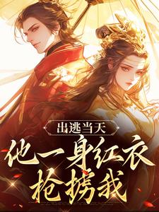 已完结小说《出逃当天，他一身红衣抢掳我》免费阅读