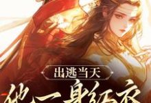 小说《出逃当天，他一身红衣抢掳我》在线阅读-疯狂文学
