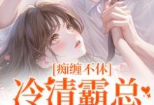 痴缠不休:冷清霸总重拾旧爱小说,痴缠不休:冷清霸总重拾旧爱免费阅读-疯狂文学