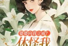 求姜婉小说免费资源-疯狂文学