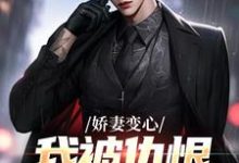 娇妻变心，我被仇恨占据了全身（墨凉馨路无铭）在线免费阅读-疯狂文学