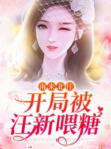 小说《南来北往：开局被汪新喂糖》免费阅读