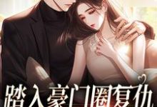 主角叫王芸傅司砚的小说在哪阅读-疯狂文学