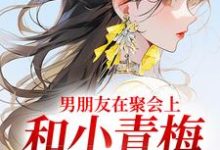 小说《男朋友在聚会上，和小青梅吻红温了》在线阅读-疯狂文学
