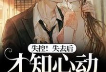已完结小说《失控!失去后,才知心动难自已》在线阅读-疯狂文学