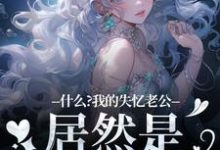 无删减版《什么？我的失忆老公居然是东海龙王》全章节阅读-疯狂文学