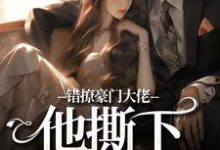 已完结小说《错撩豪门大佬，他撕下禁欲伪装》在线阅读-疯狂文学
