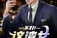 不好！这渣女要虐死了顾迟云云晚晚小说大结局免费试读-疯狂文学