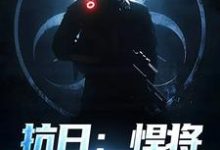 主角叫林放小说抗日:悍将,他是个鬼子?免费阅读-疯狂文学