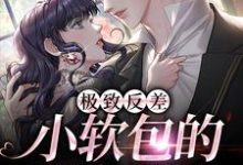 《极致反差：小软包的疯批老公》小说在线试读，《极致反差：小软包的疯批老公》最新章节目录-疯狂文学