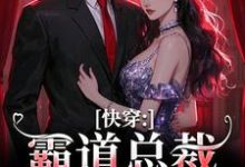 求叶兮禾小说免费资源-疯狂文学