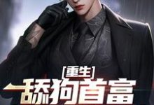 重生：舔狗首富杜绝恋爱脑小说，重生：舔狗首富杜绝恋爱脑张昊陈樱无弹窗在线阅读-疯狂文学