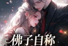小说《佛子自称空巢老男人？我真的笑了》在线阅读-疯狂文学