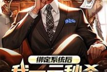 主人公叫林帆的小说哪里免费看-疯狂文学