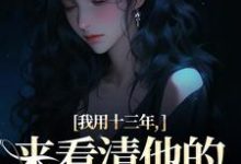 小说《我用十三年，来看清他的真心无常》免费阅读-疯狂文学