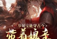 小说《三岁萌宝能穿古今，带着娘亲搞革命》在线阅读-疯狂文学