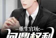 重生官场：问鼎权利之巅小说在线免费阅读，重生官场：问鼎权利之巅无删减版-疯狂文学