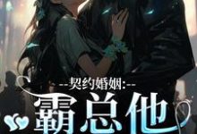 契约婚姻：霸总他超会宠苏锐秦众，契约婚姻：霸总他超会宠小说免费阅读-疯狂文学