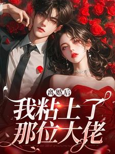 离婚后，我粘上了那位大佬陆骁舒愿小说在线免费阅读