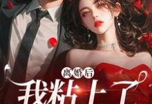《离婚后，我粘上了那位大佬》小说精彩章节免费试读，陆骁舒愿小说在线阅读-疯狂文学