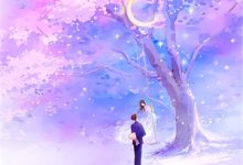 已完结小说《一首素颜,惊艳前妻的天后小姨》在线阅读-疯狂文学