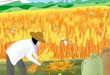 重回年少时，首富千金她要和离！最新章节，重回年少时，首富千金她要和离！在线阅读-疯狂文学