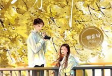 他在永夜长眠苏娆、时砚清小说大结局免费试读-疯狂文学